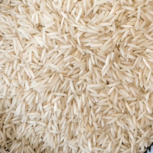 1509 white basmati rice